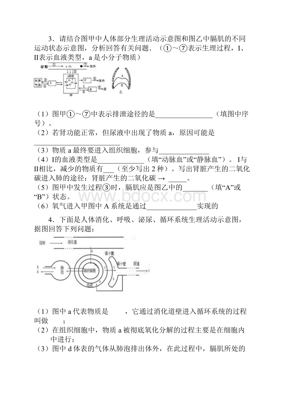 消化呼吸循环泌尿综合题.docx_第3页