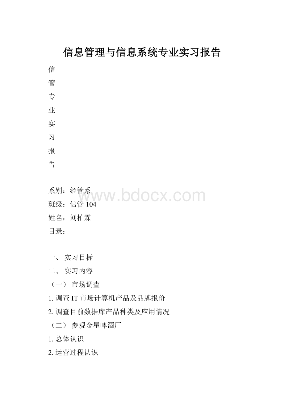 信息管理与信息系统专业实习报告.docx_第1页