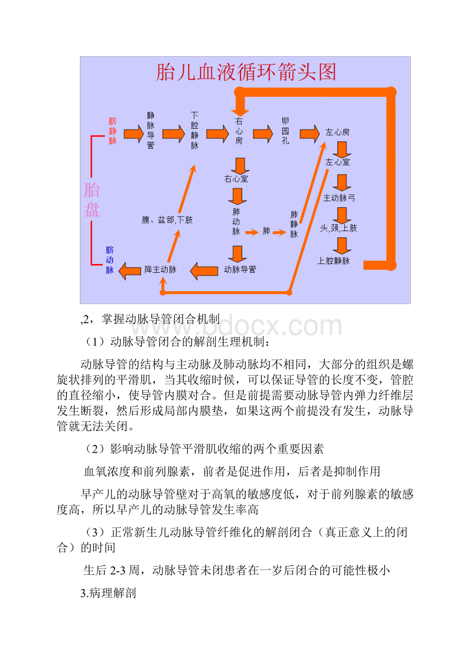 动脉导管未闭图文详细讲解.docx_第3页