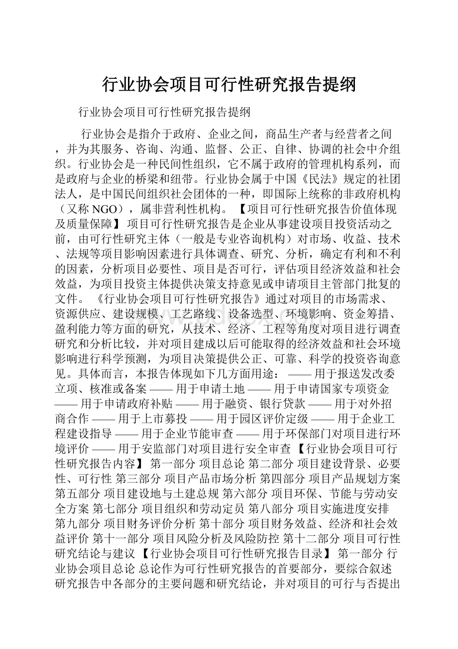 行业协会项目可行性研究报告提纲.docx