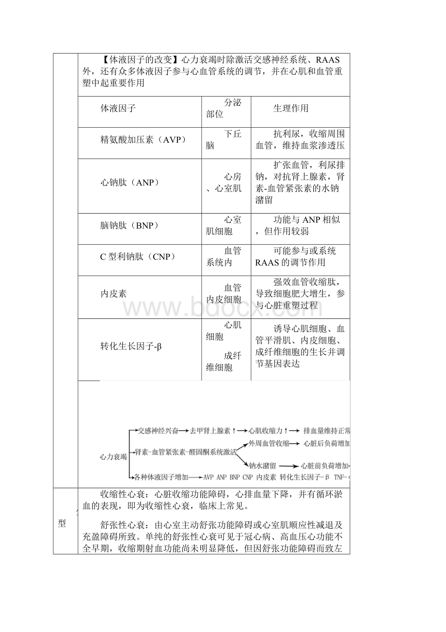 西医综合循环系统总结包括内科外科病理.docx_第3页