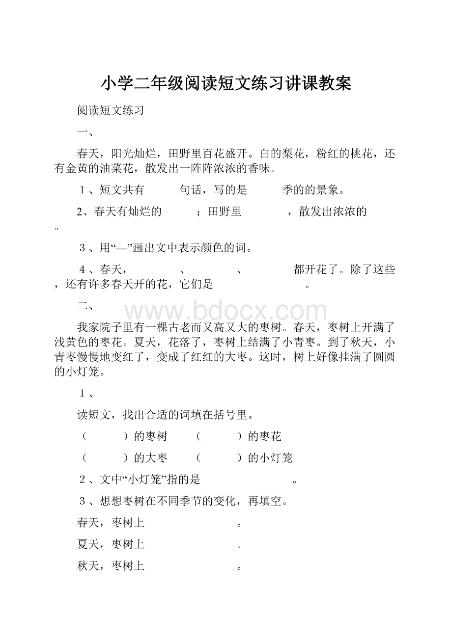 小学二年级阅读短文练习讲课教案.docx