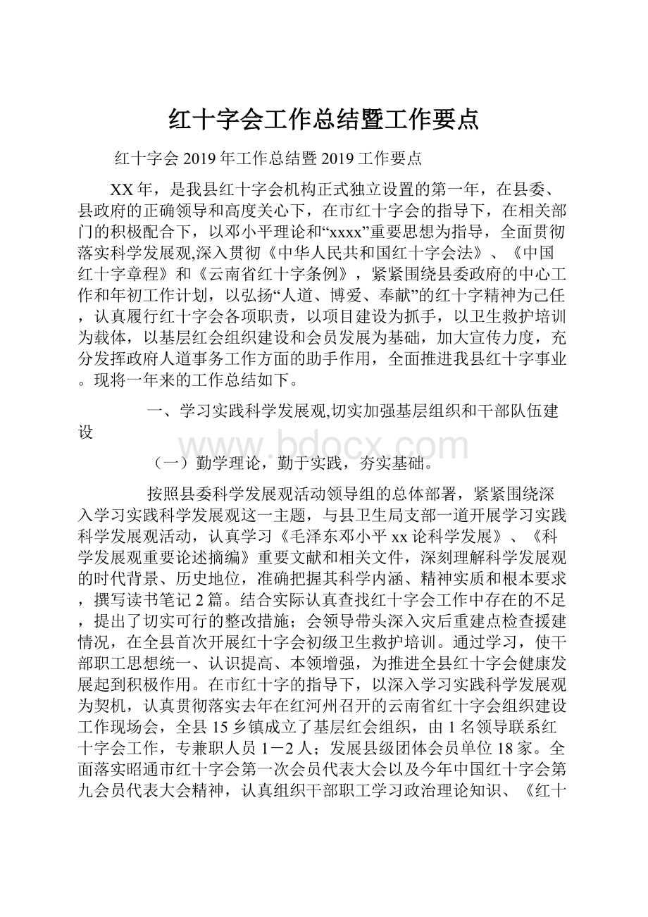 红十字会工作总结暨工作要点.docx