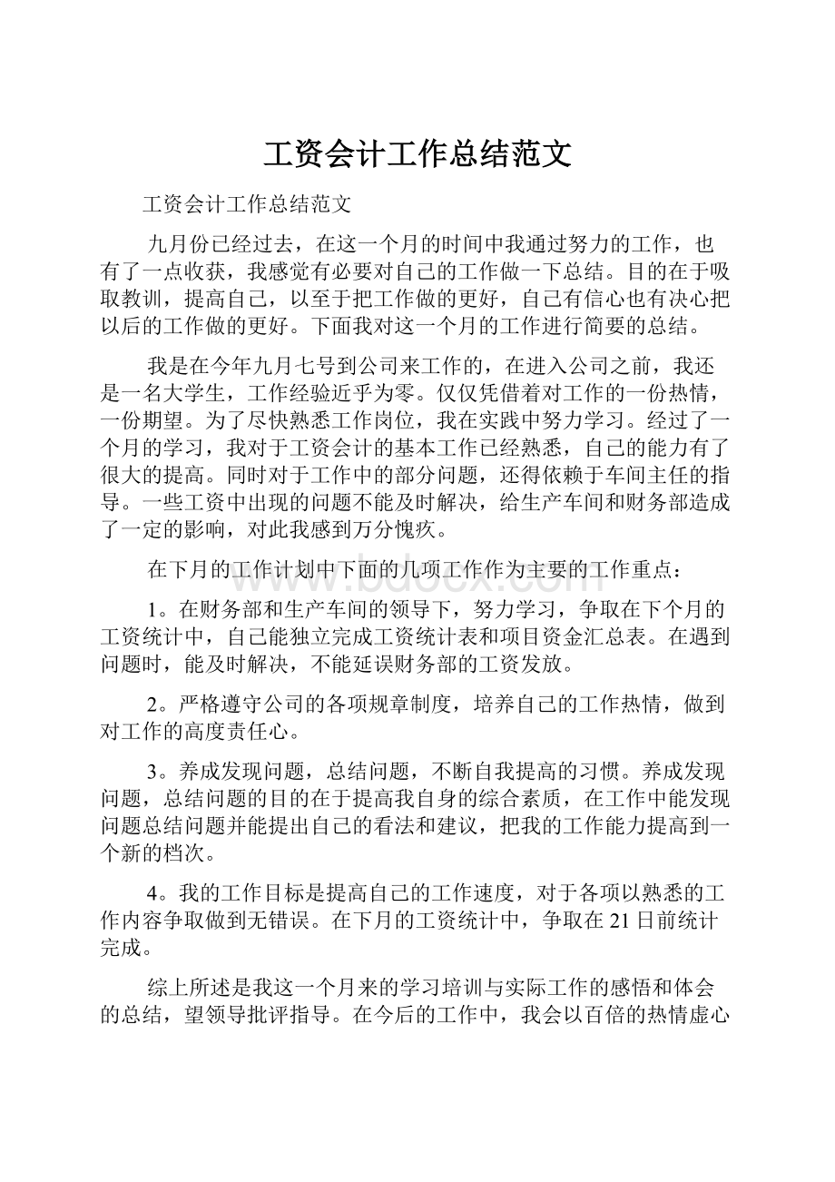 工资会计工作总结范文.docx