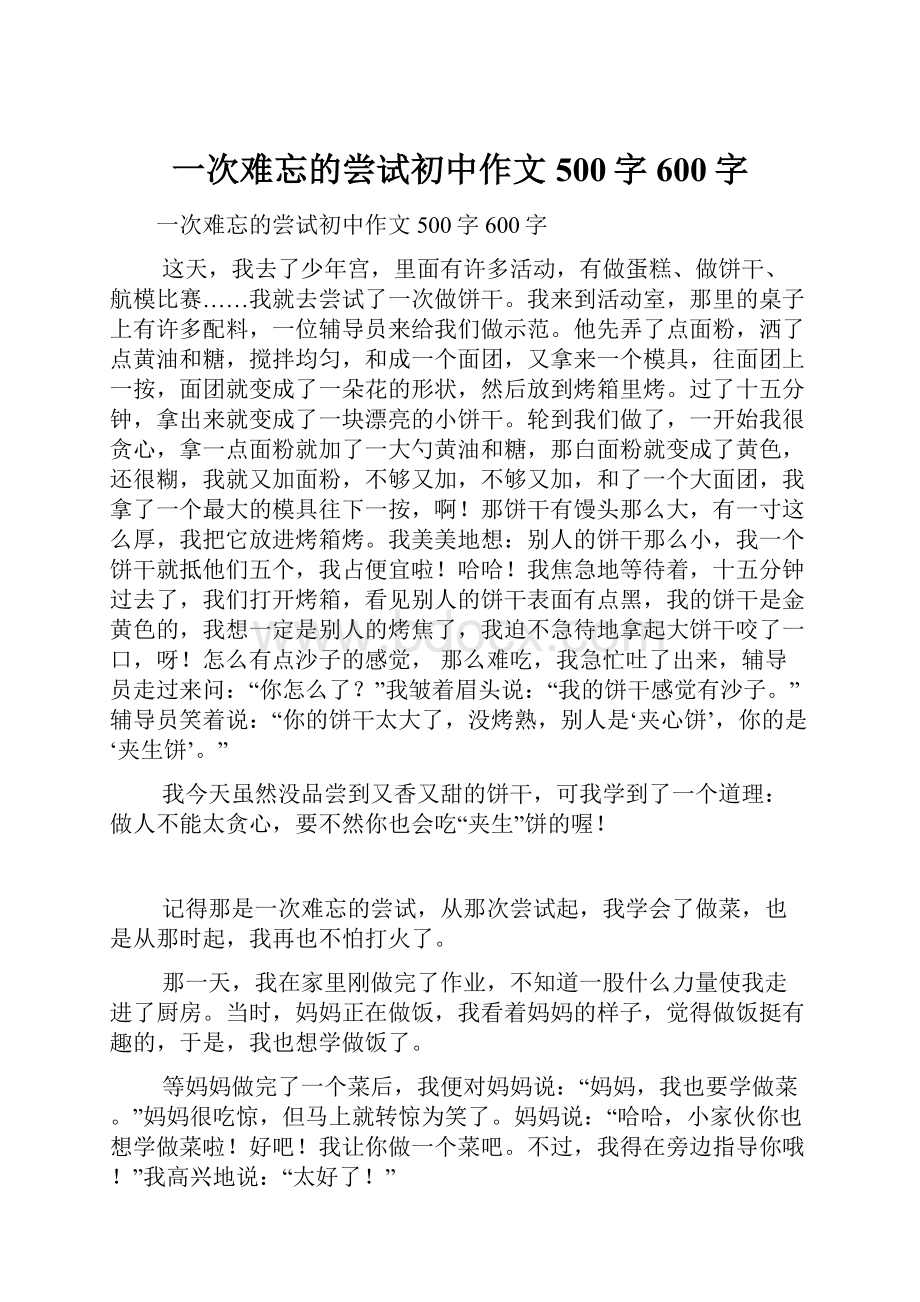 一次难忘的尝试初中作文500字600字.docx_第1页