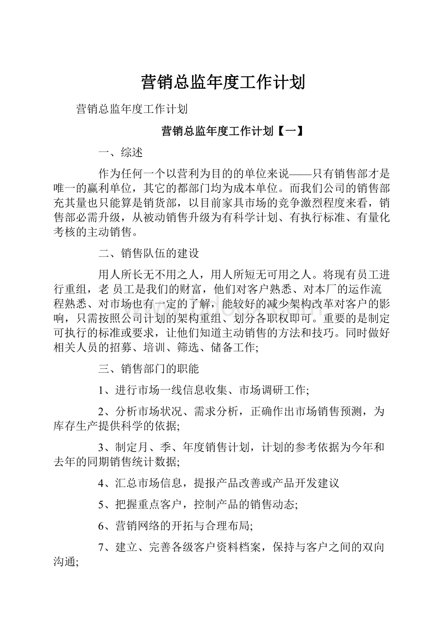 营销总监年度工作计划.docx