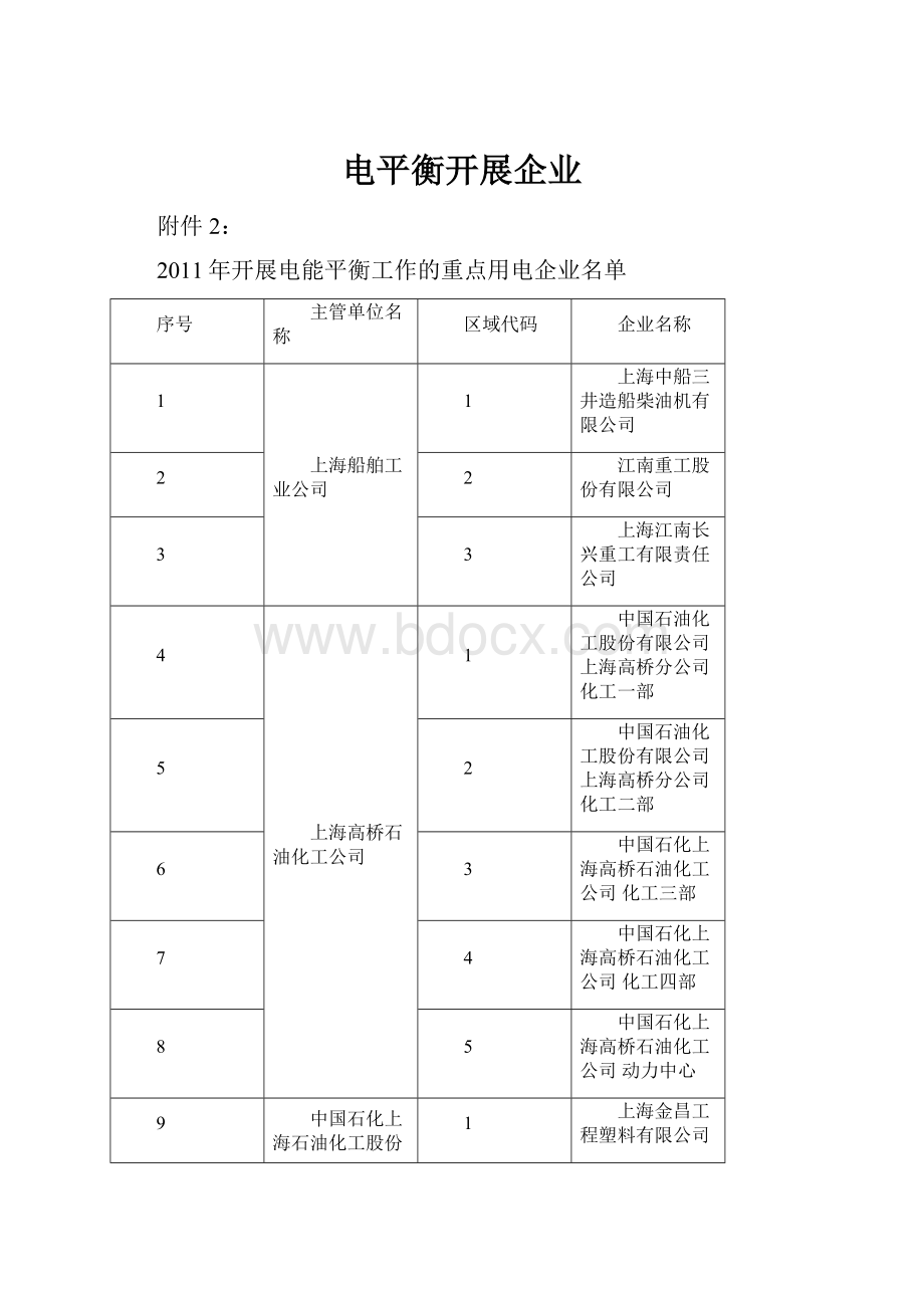 电平衡开展企业.docx