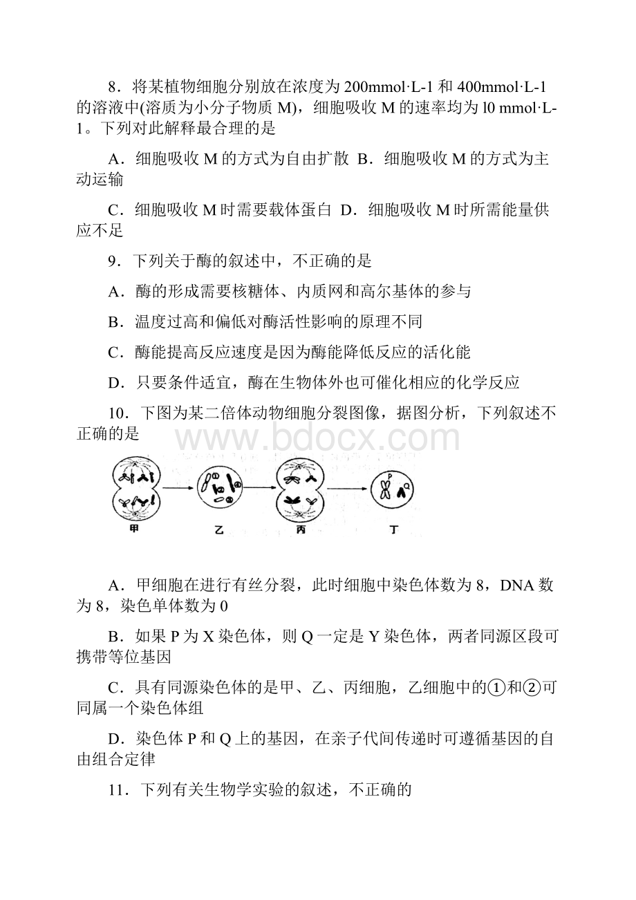 山东省烟台市莱州一中届高三期末考试生物试题.docx_第3页