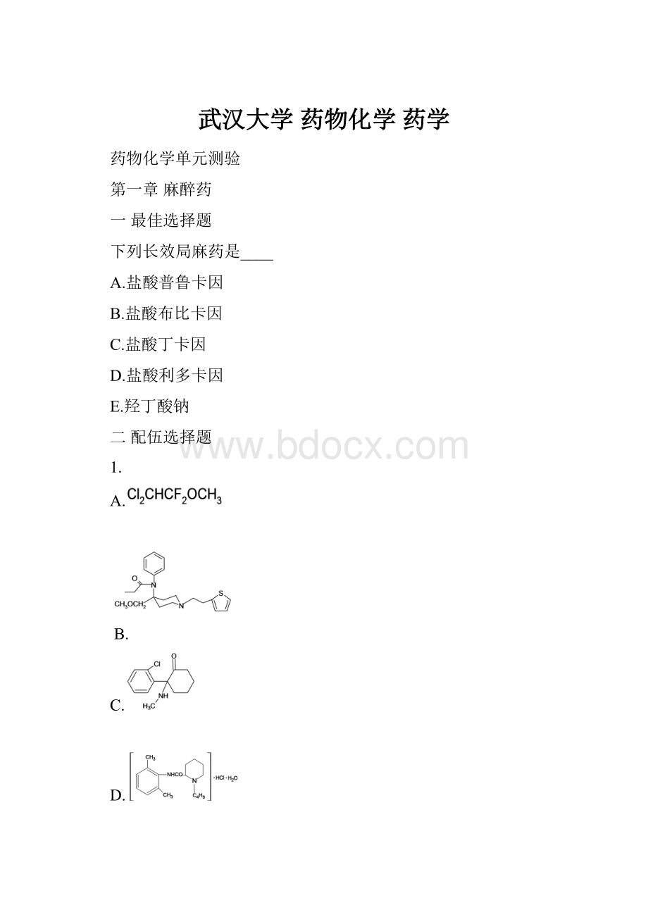 武汉大学 药物化学 药学.docx