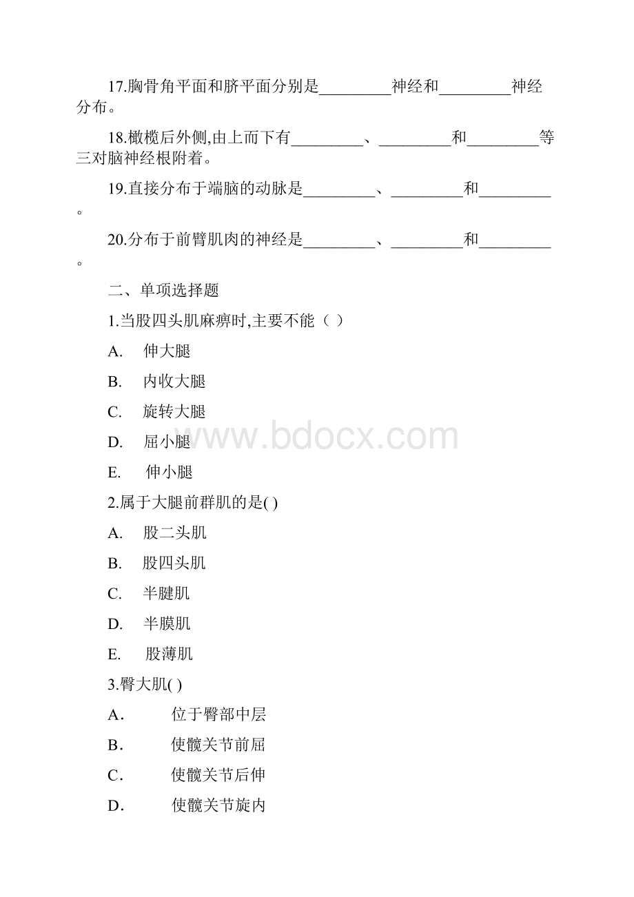 系统解剖学试题及答案.docx_第2页