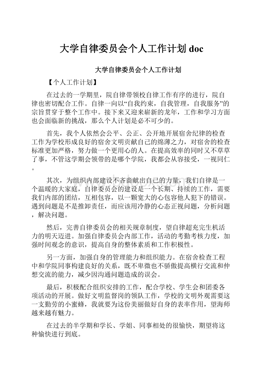 大学自律委员会个人工作计划doc.docx