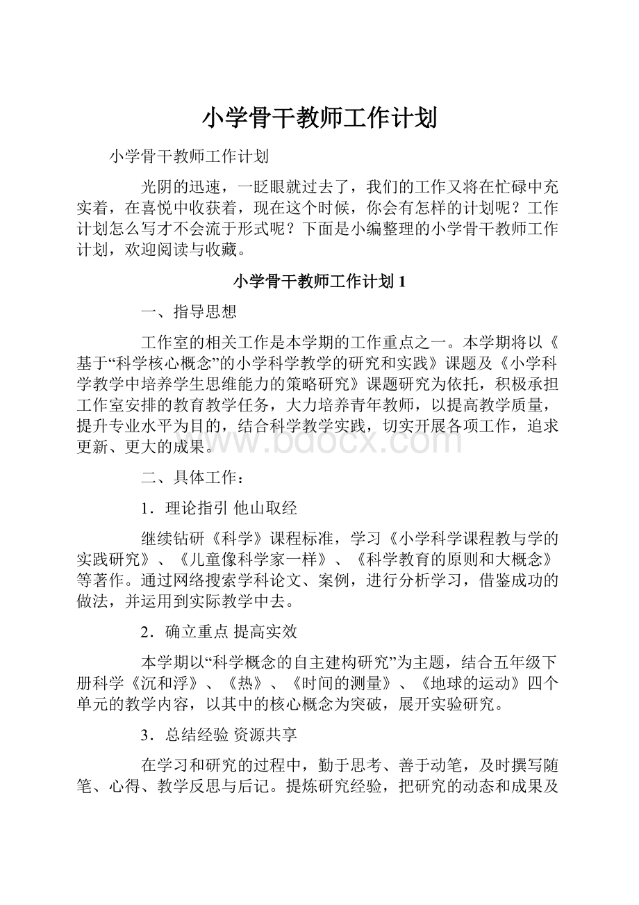 小学骨干教师工作计划.docx