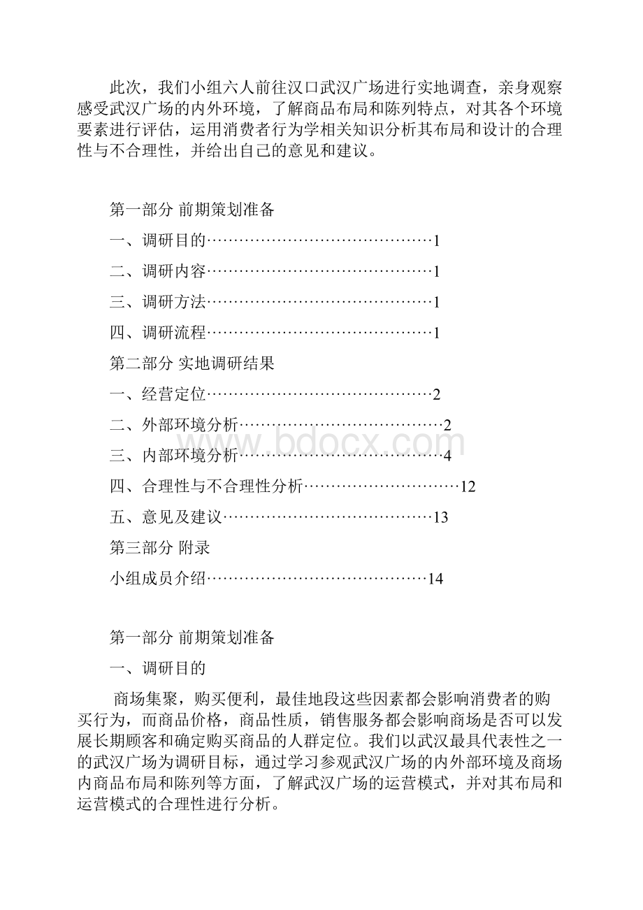 武汉广场购物中心内外环境分析.docx_第2页