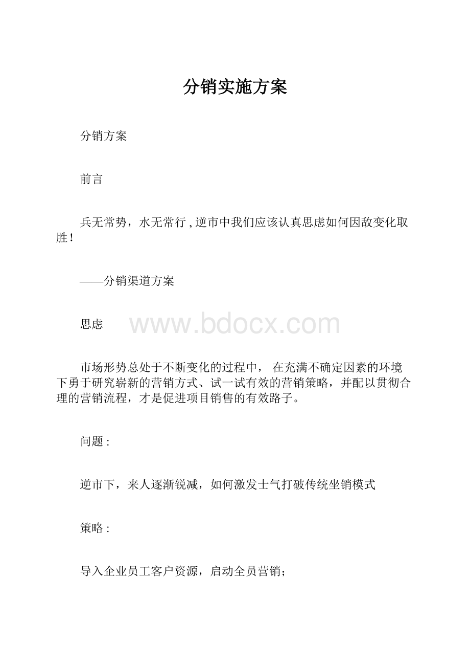 分销实施方案.docx