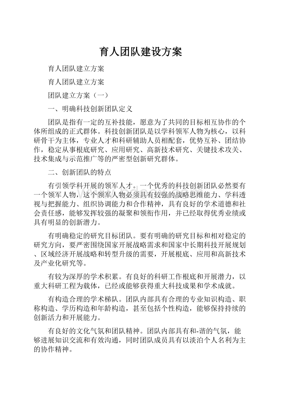 育人团队建设方案.docx