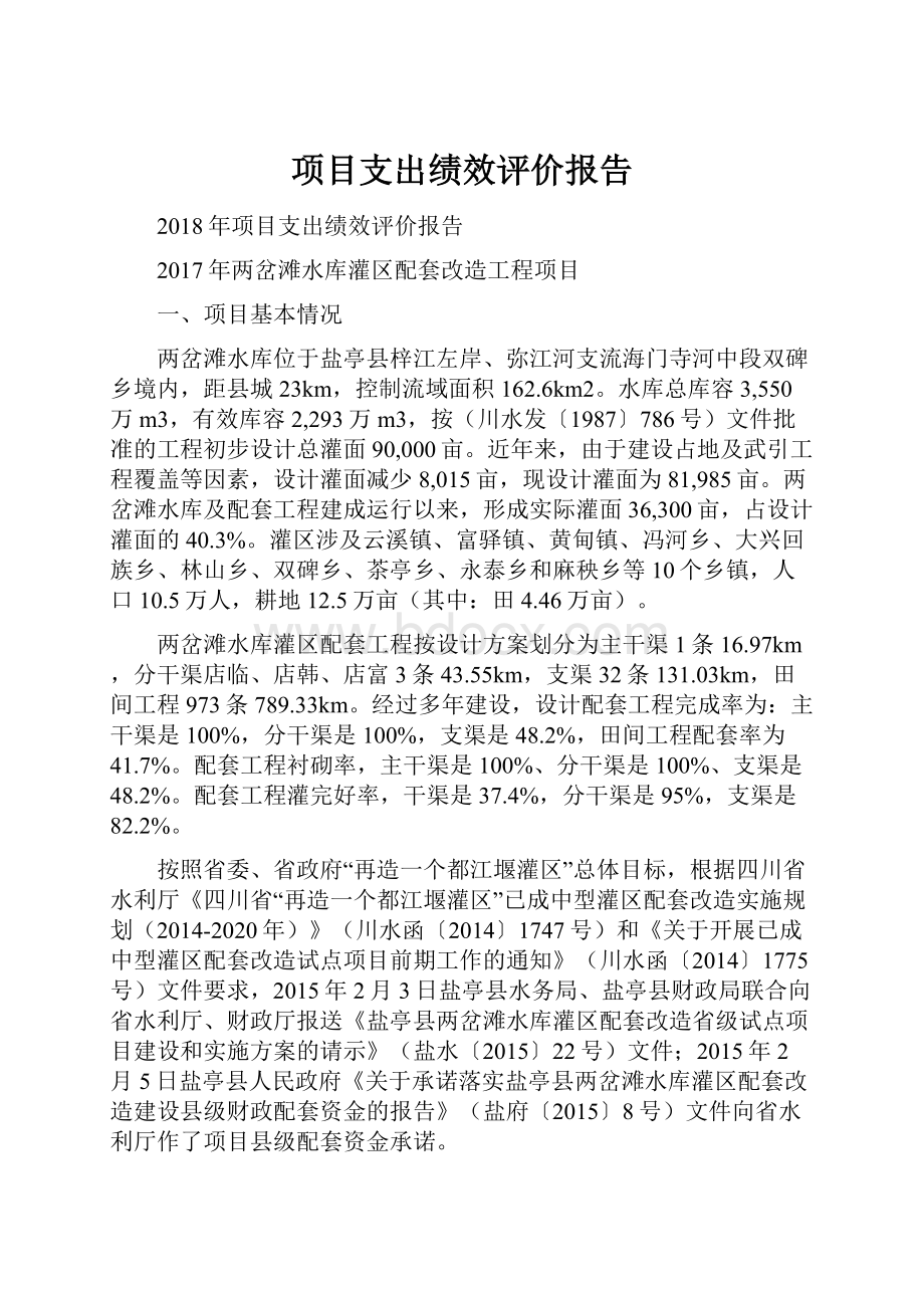 项目支出绩效评价报告.docx