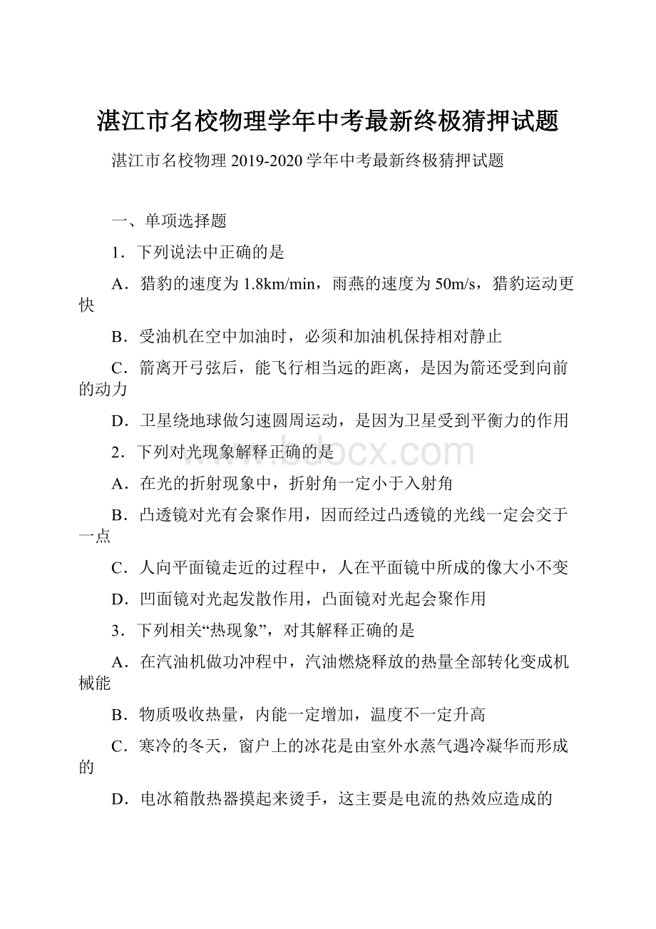 湛江市名校物理学年中考最新终极猜押试题.docx