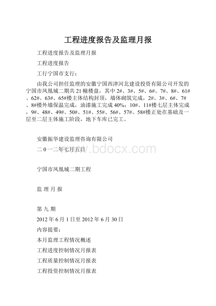 工程进度报告及监理月报.docx