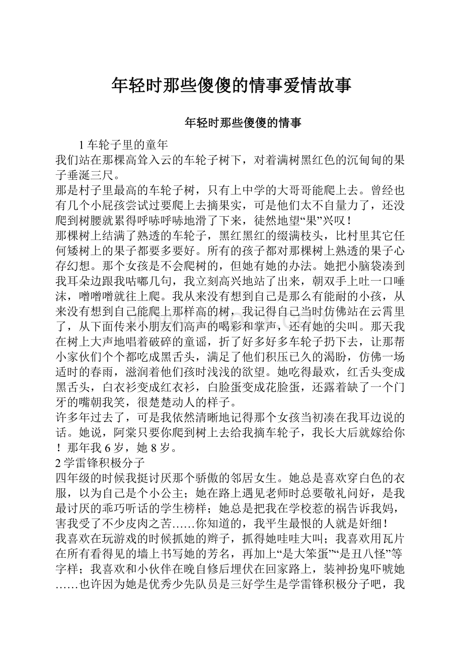 年轻时那些傻傻的情事爱情故事.docx