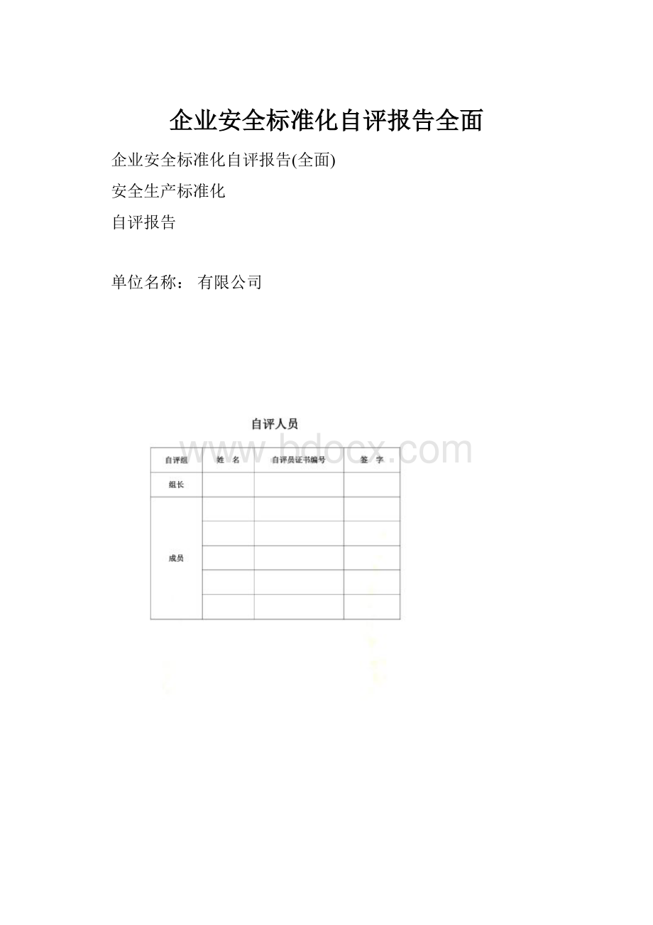 企业安全标准化自评报告全面.docx_第1页