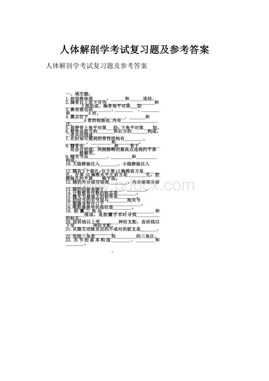 人体解剖学考试复习题及参考答案.docx