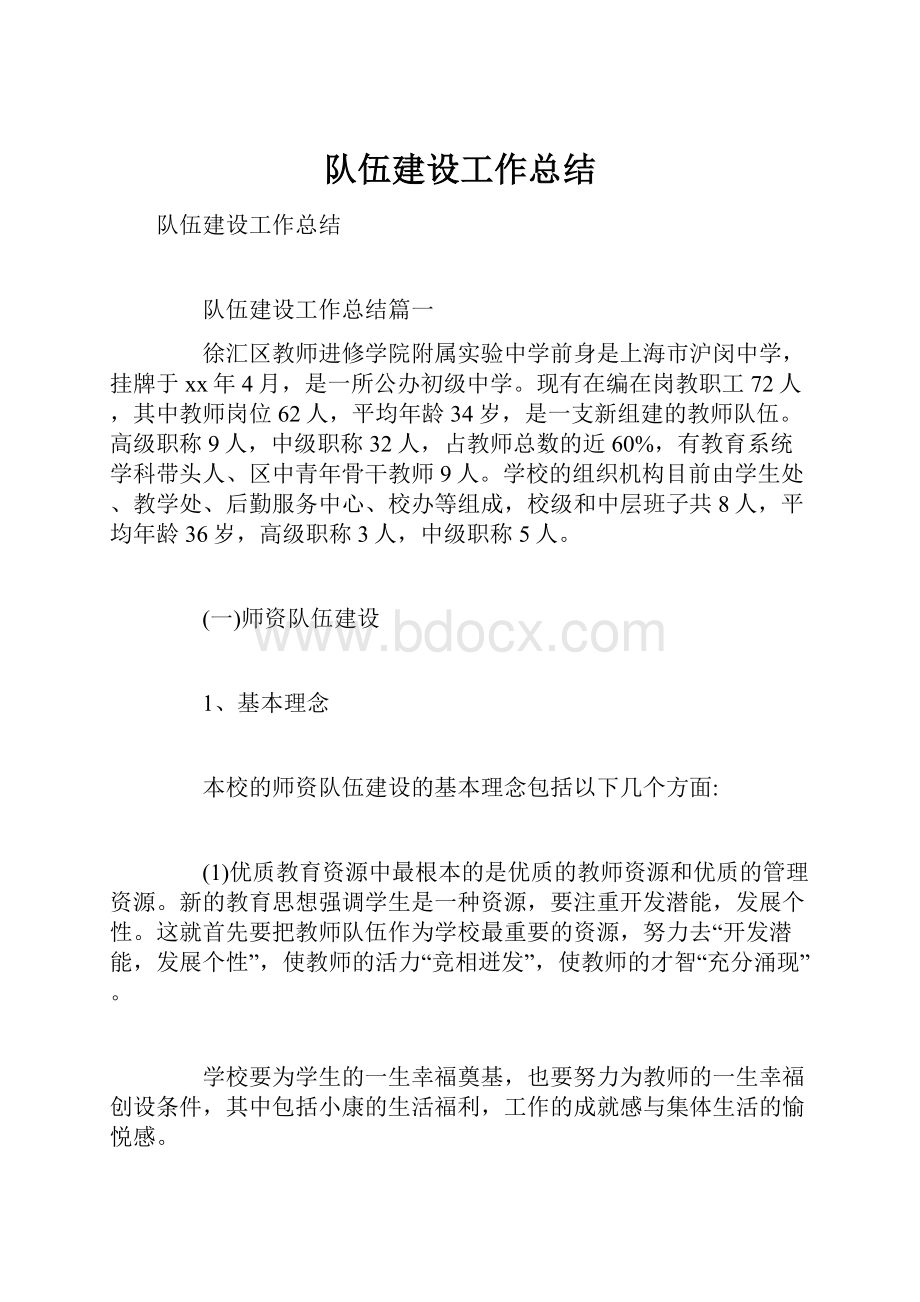 队伍建设工作总结.docx_第1页