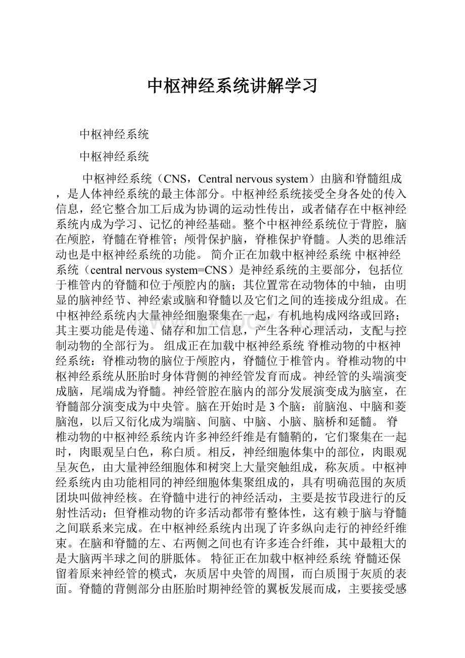 中枢神经系统讲解学习.docx_第1页