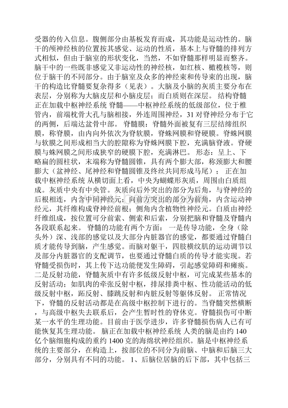 中枢神经系统讲解学习.docx_第2页