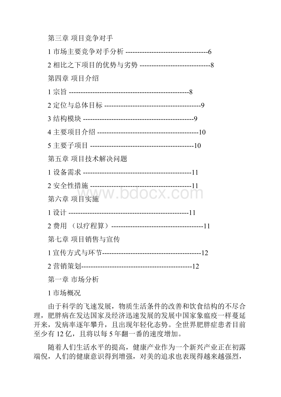 减肥项目策划书正式版.docx_第2页