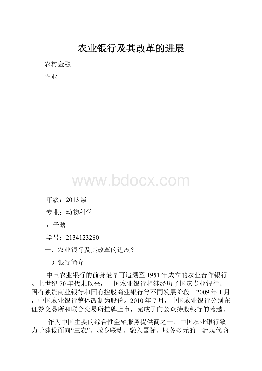 农业银行及其改革的进展.docx_第1页