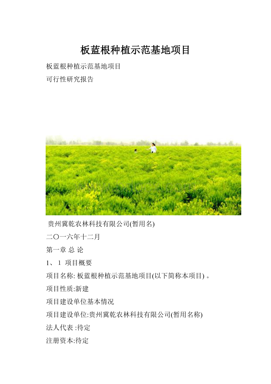 板蓝根种植示范基地项目.docx