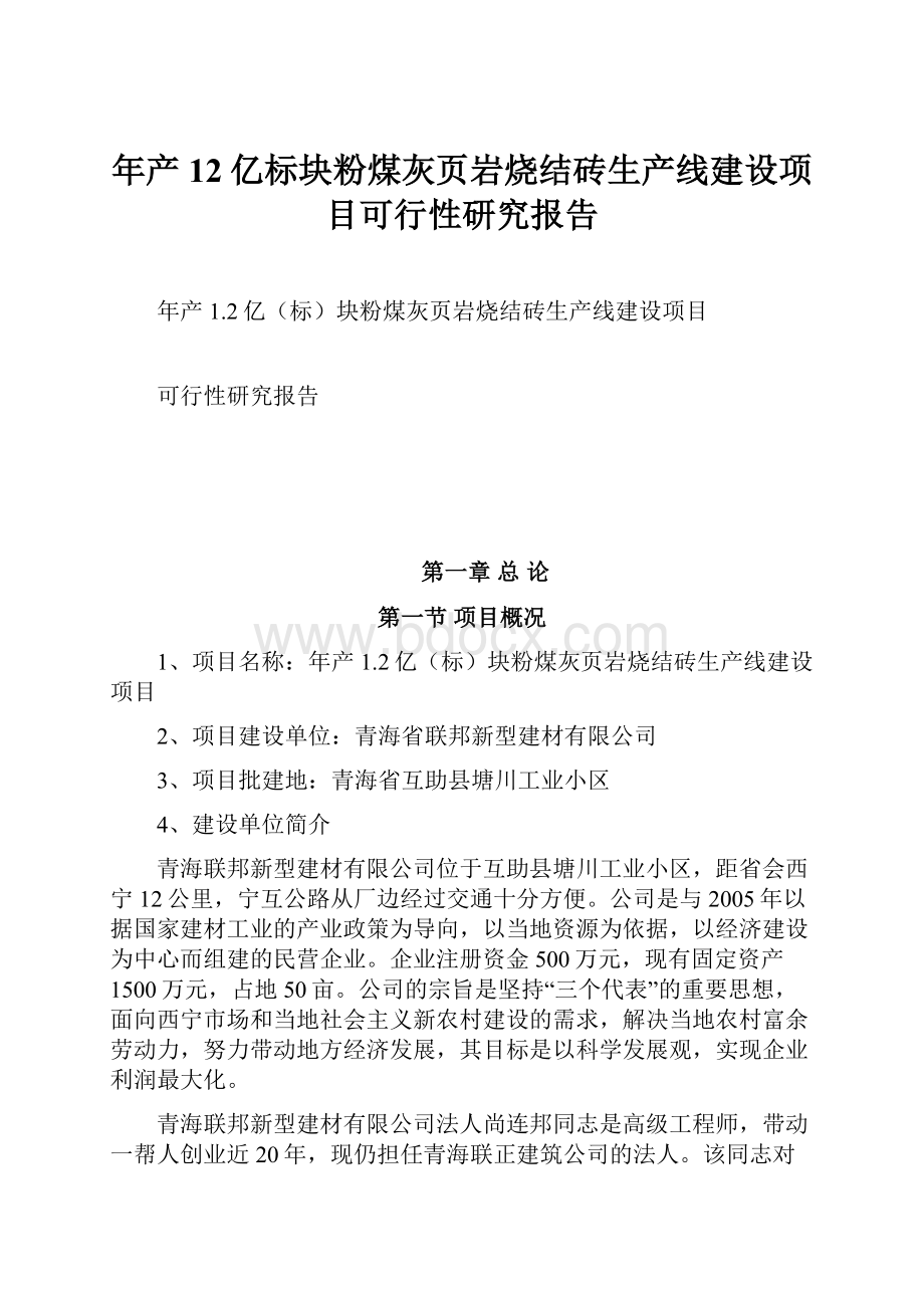 年产12亿标块粉煤灰页岩烧结砖生产线建设项目可行性研究报告.docx_第1页