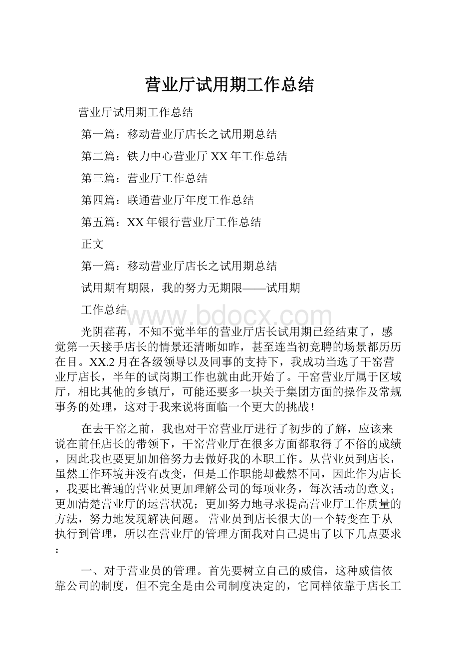 营业厅试用期工作总结.docx