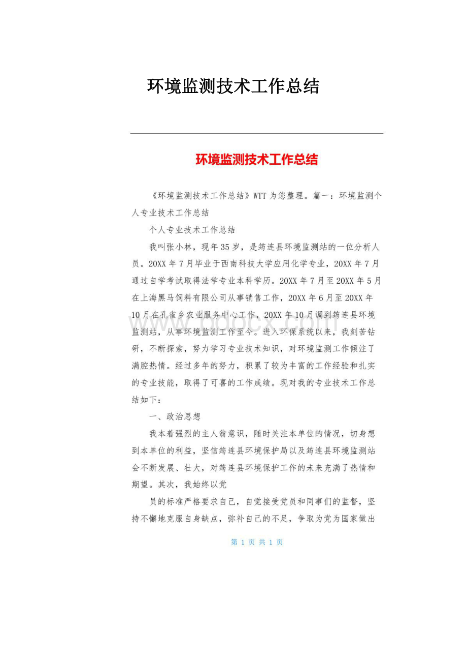 环境监测技术工作总结.docx