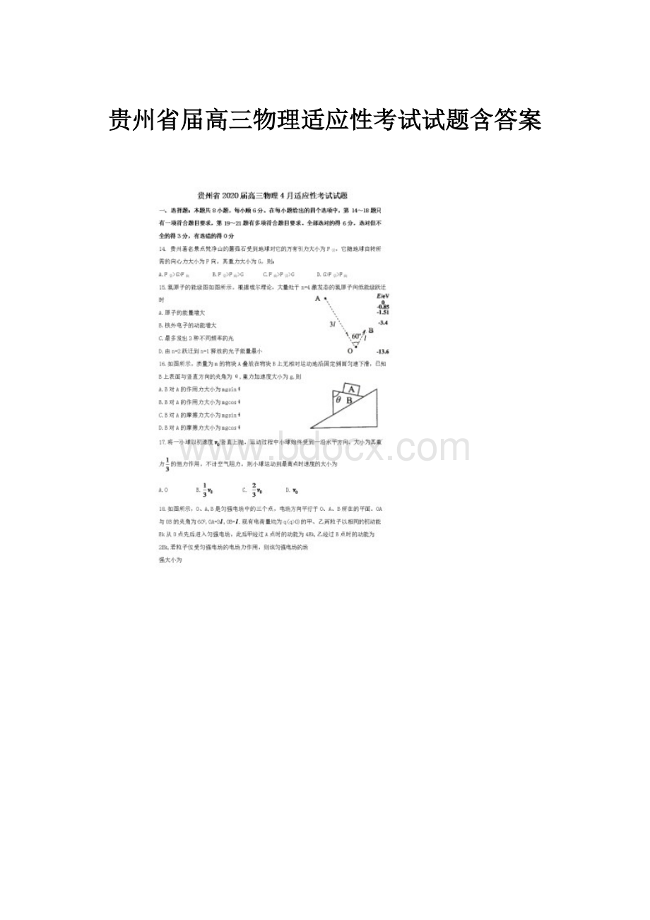 贵州省届高三物理适应性考试试题含答案.docx