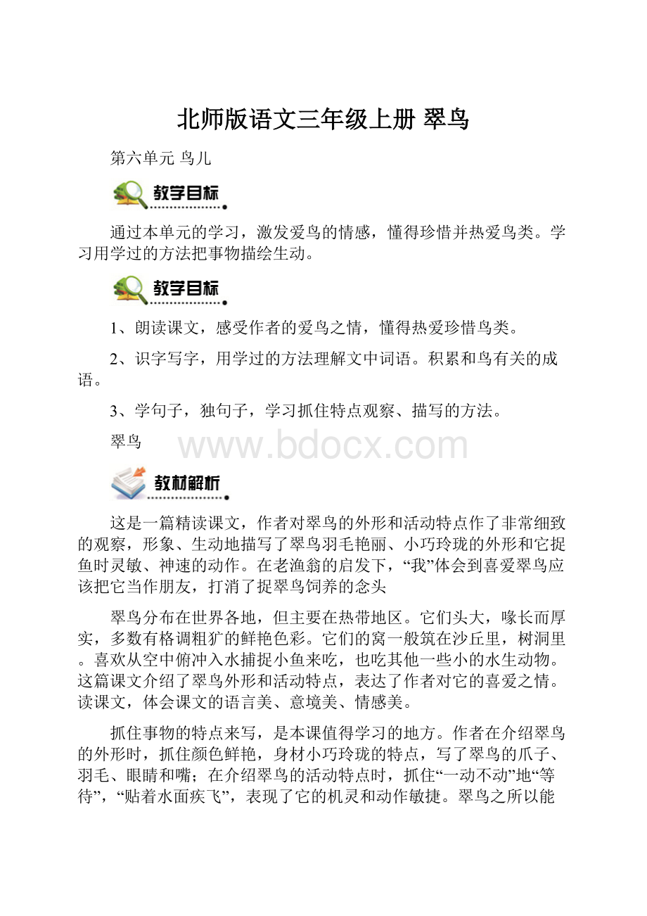 北师版语文三年级上册 翠鸟.docx_第1页