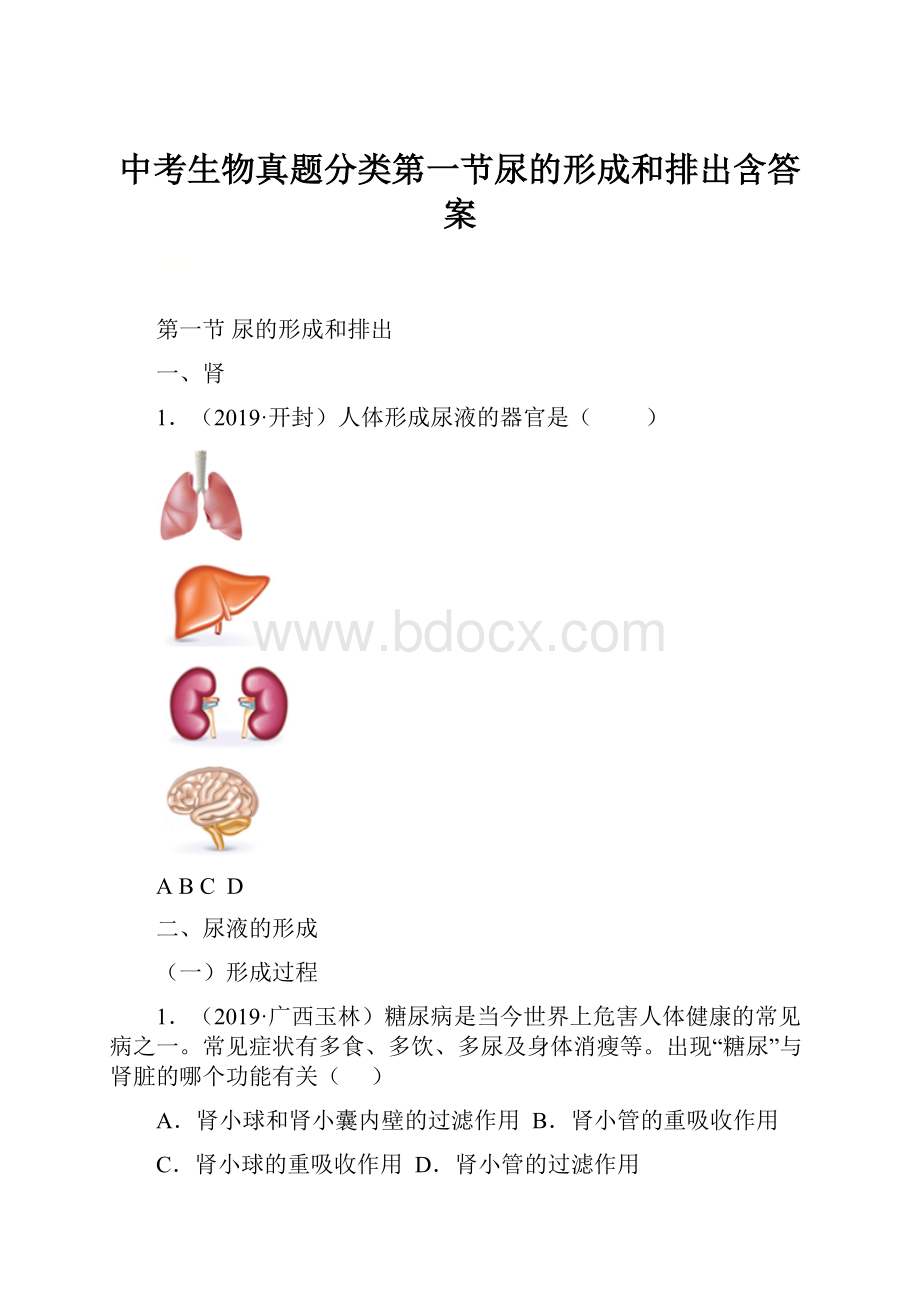 中考生物真题分类第一节尿的形成和排出含答案.docx