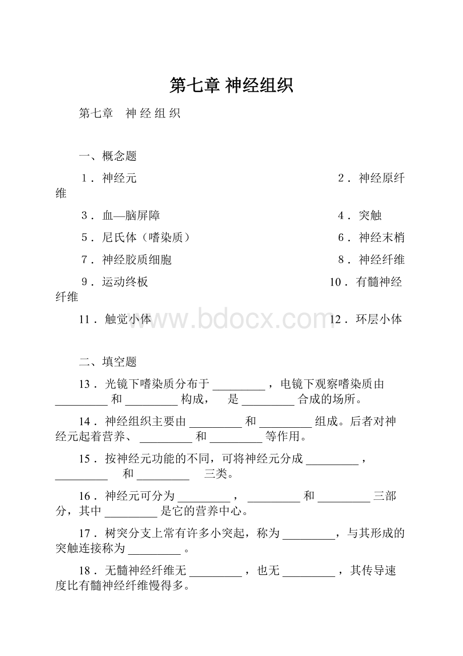 第七章 神经组织.docx_第1页