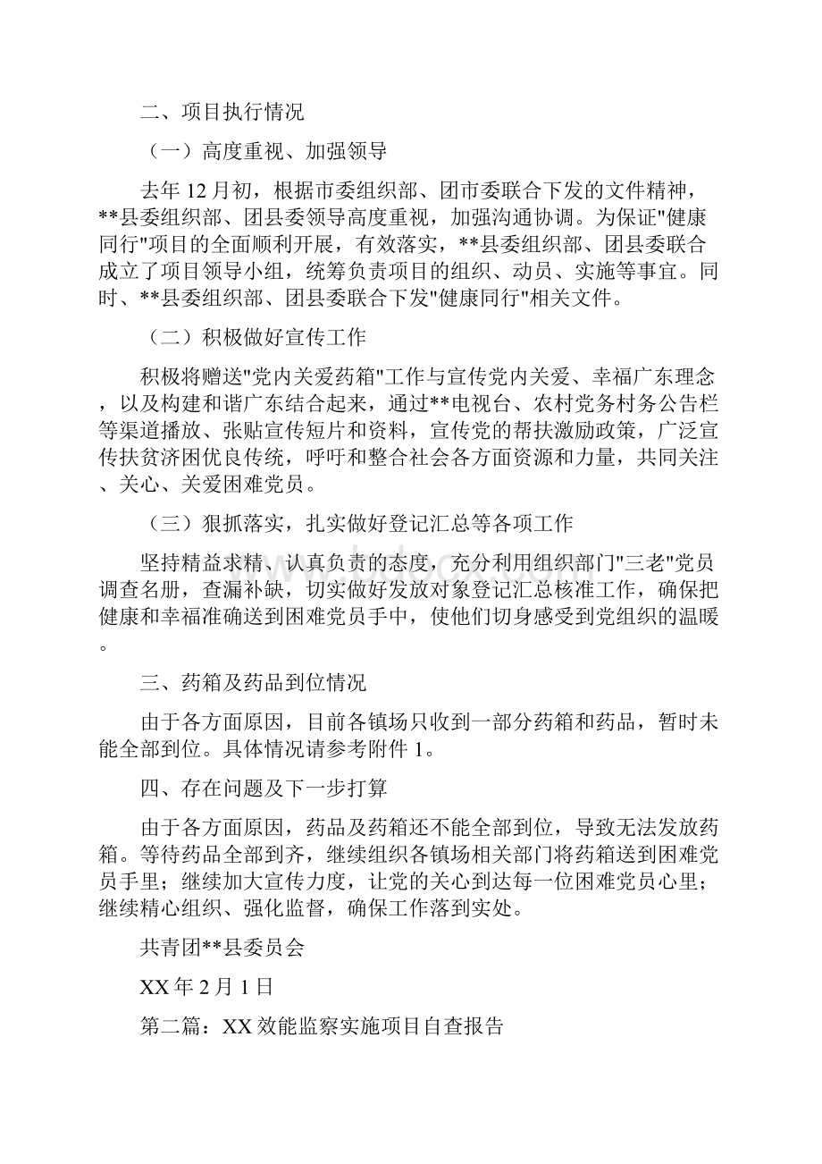 党内健康同行项目实施自查报告多篇范文.docx_第2页