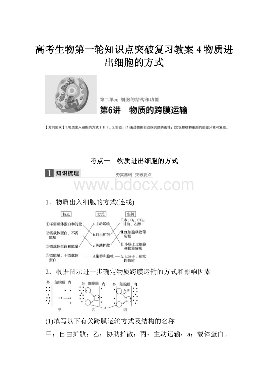 高考生物第一轮知识点突破复习教案4物质进出细胞的方式.docx_第1页