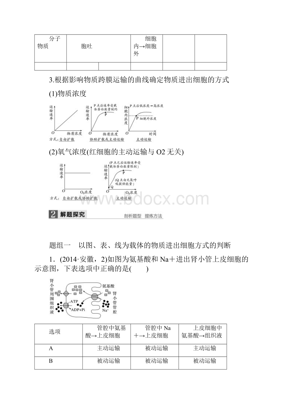 高考生物第一轮知识点突破复习教案4物质进出细胞的方式.docx_第3页