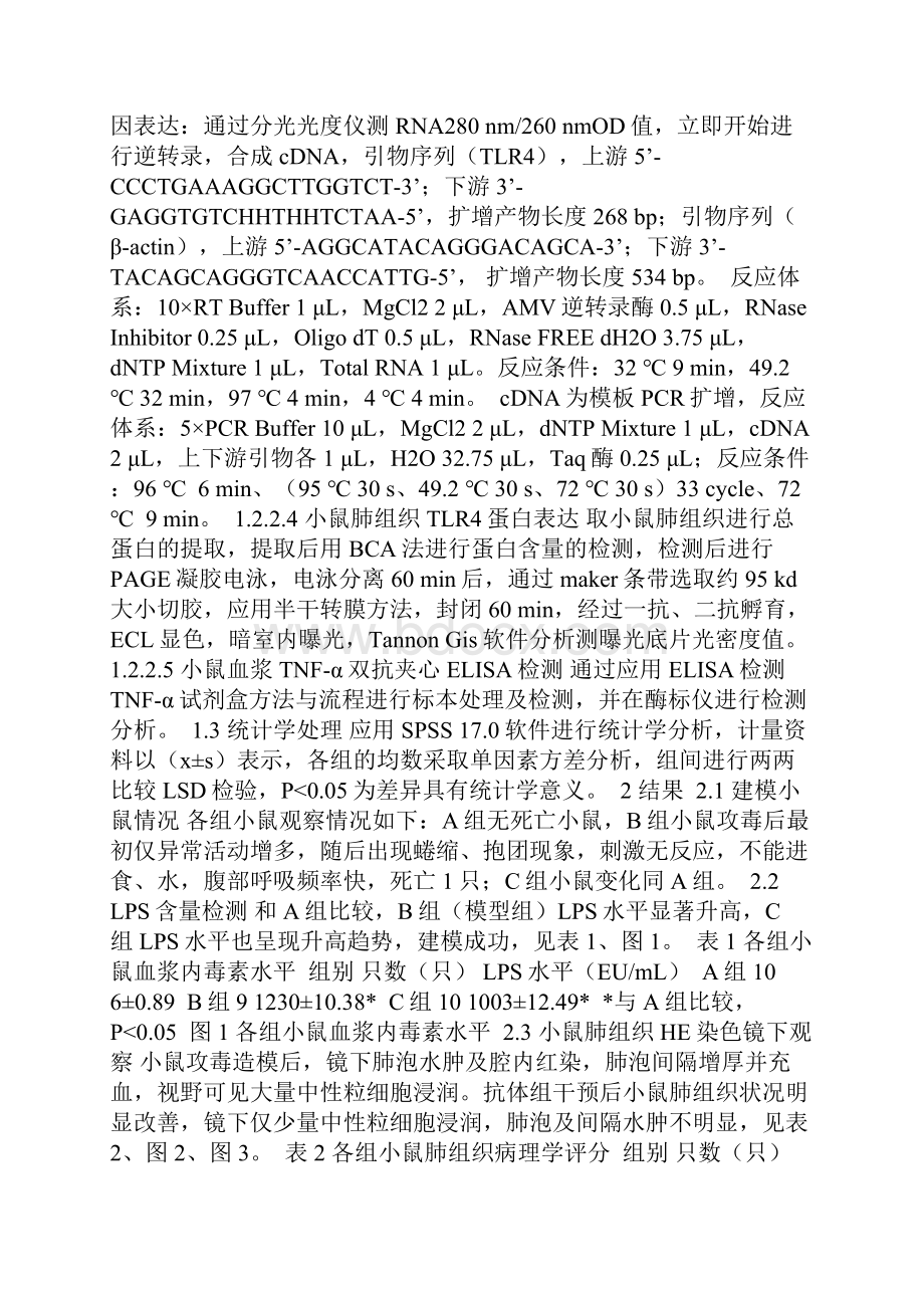 LPS诱导小鼠急性肺损伤TLR4及TNFα表达.docx_第3页