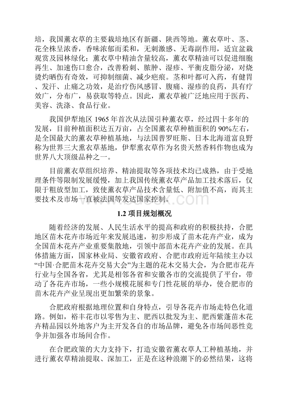 薰衣草人工种植加工基地项目建议书.docx_第2页