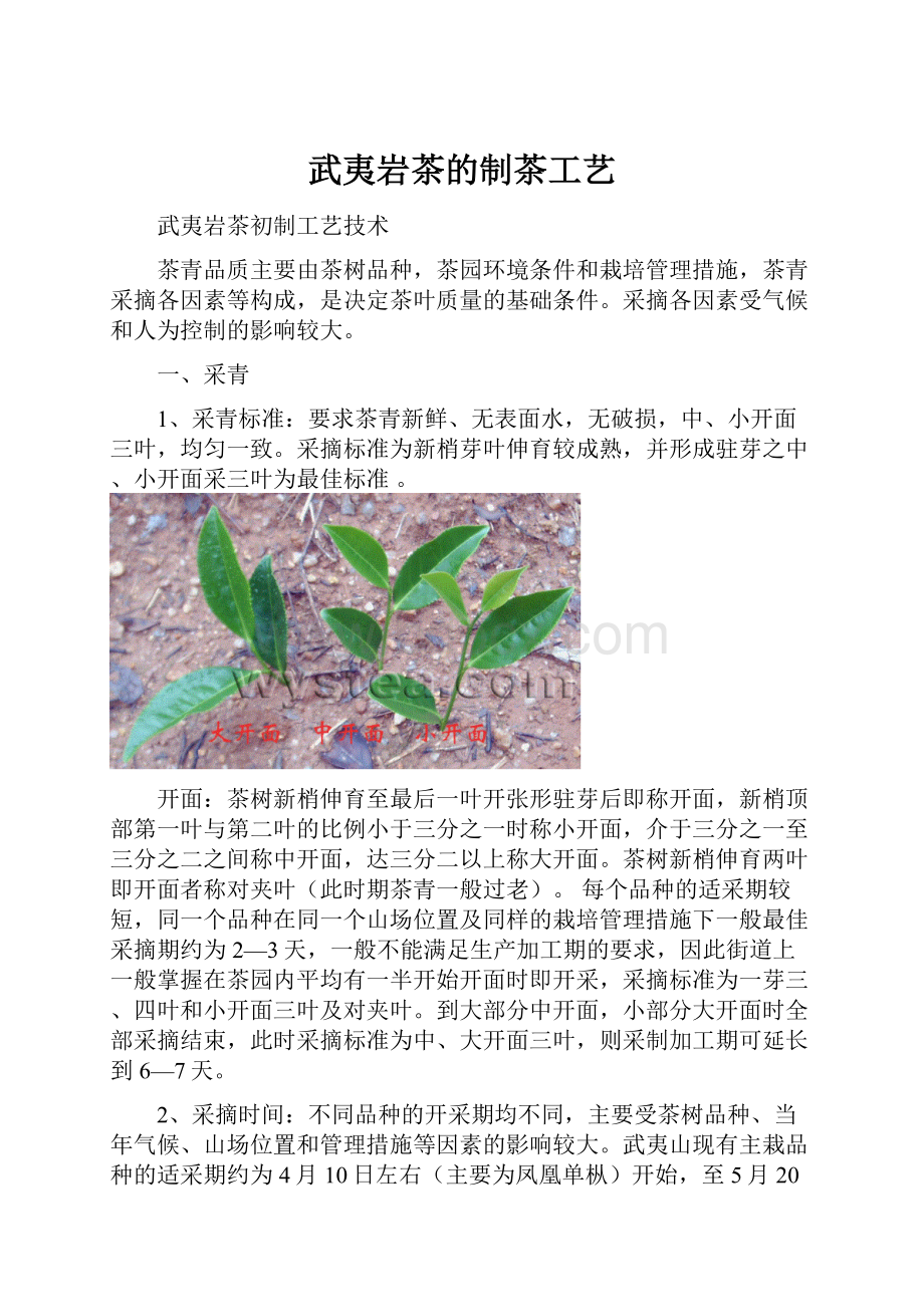 武夷岩茶的制茶工艺.docx_第1页