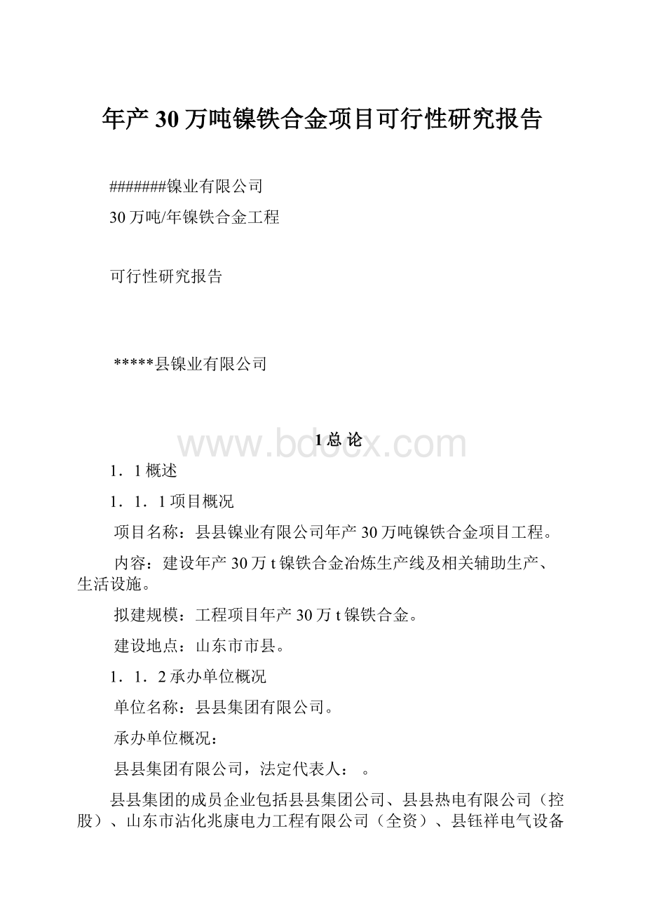 年产30万吨镍铁合金项目可行性研究报告.docx