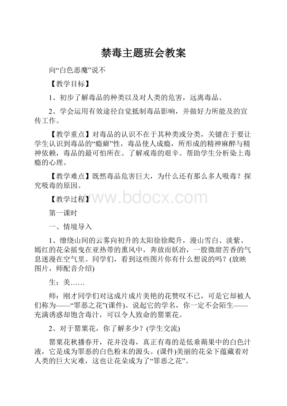 禁毒主题班会教案.docx