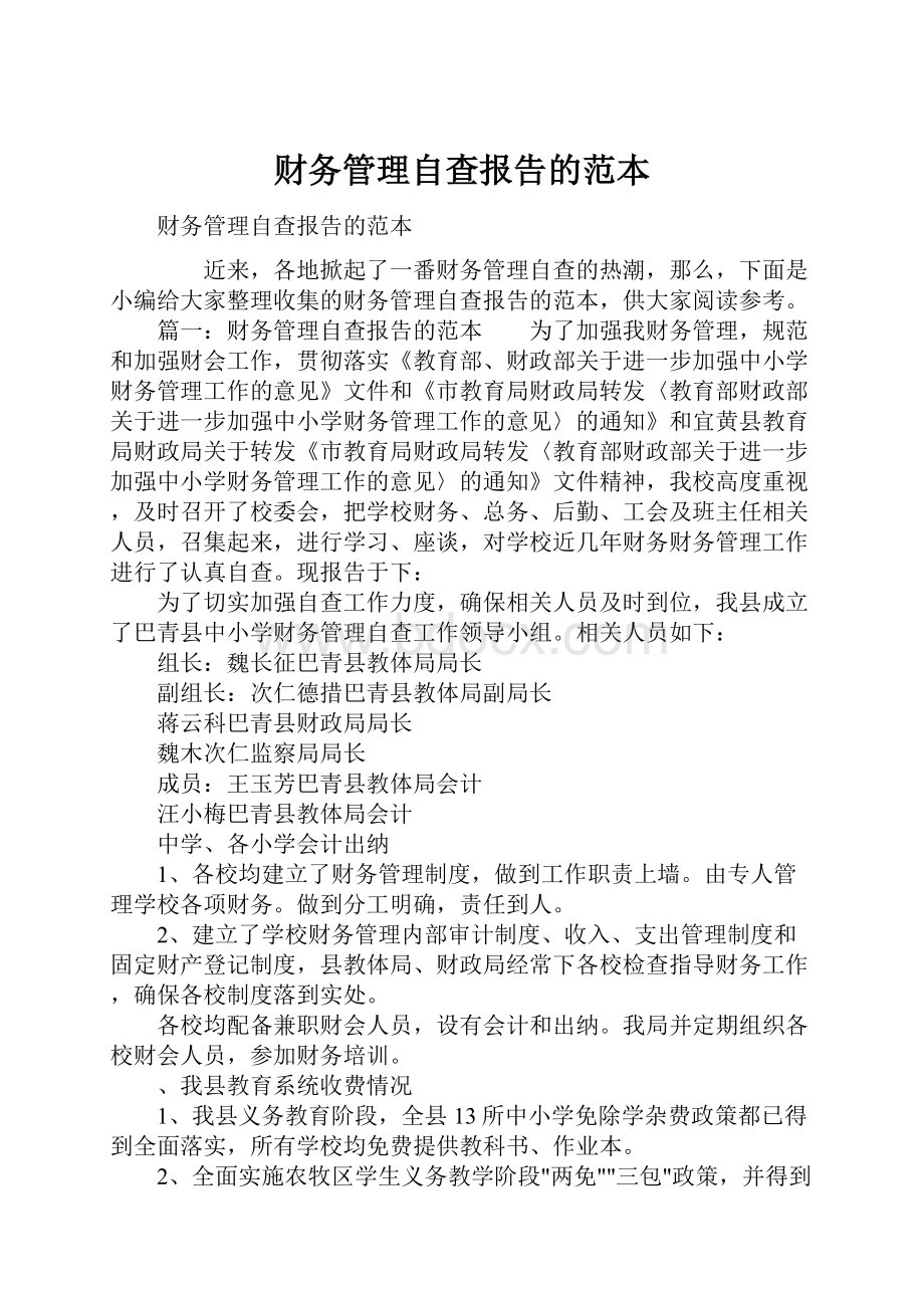 财务管理自查报告的范本.docx