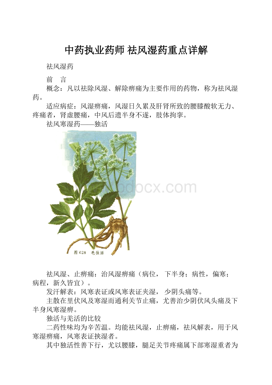 中药执业药师 祛风湿药重点详解.docx