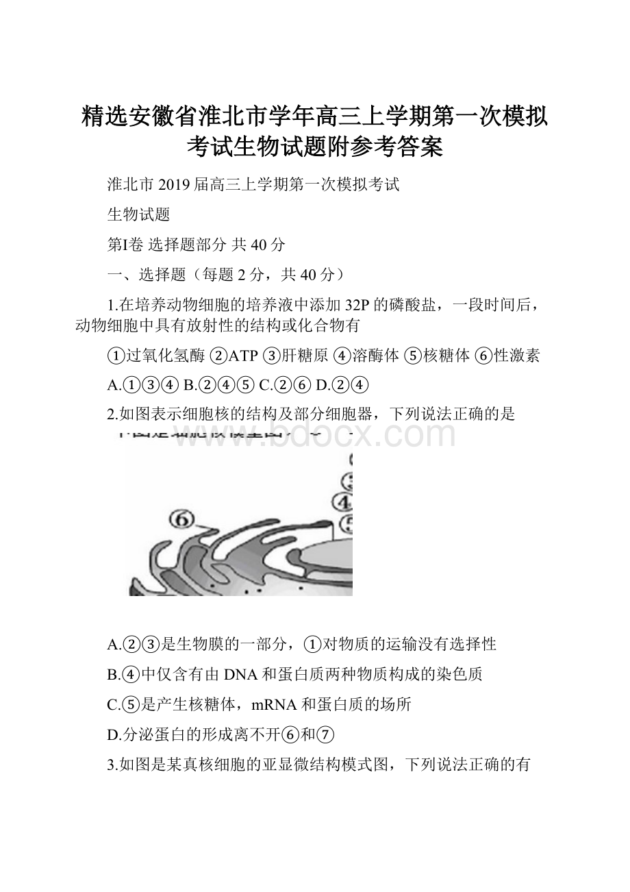 精选安徽省淮北市学年高三上学期第一次模拟考试生物试题附参考答案.docx