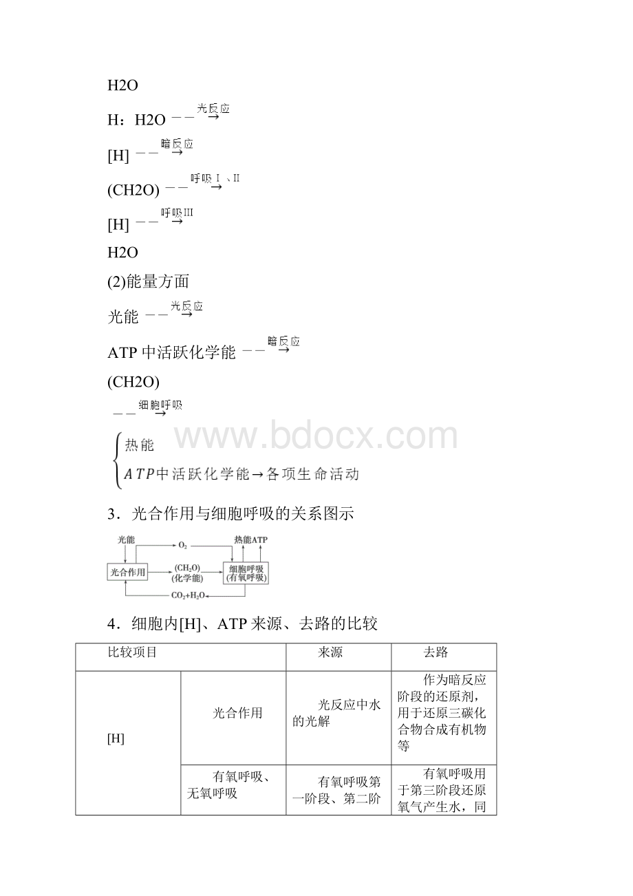 整理重点题型研析3聚焦细胞代谢相关题型.docx_第2页